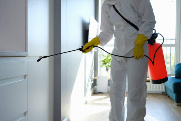 South Bend, WA Mold Removal Company