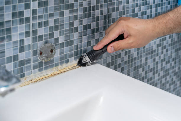 Best Mold Damage Repair  in South Bend, WA